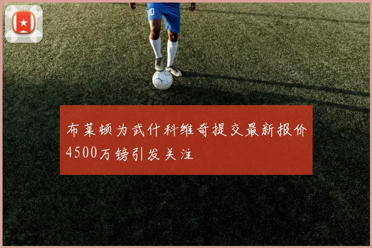 布莱顿为武什科维奇提交最新报价4500万镑引发关注